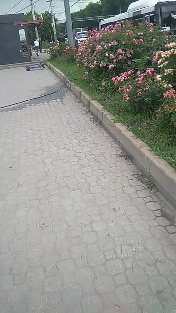 VID_20250623_102447.mp4