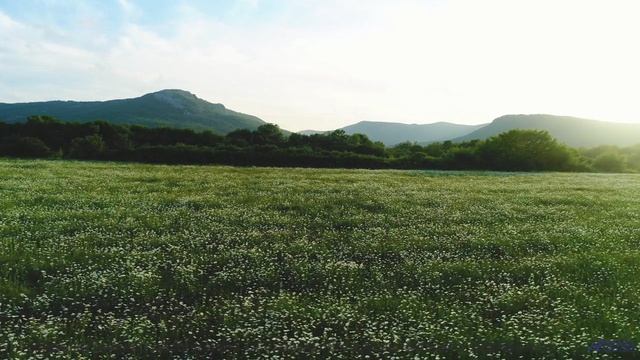 Пейзажи разрывают шаблоны под такой мелодией - Smooth Day -- Ketsa -- Metaphysics