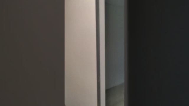 Академическая