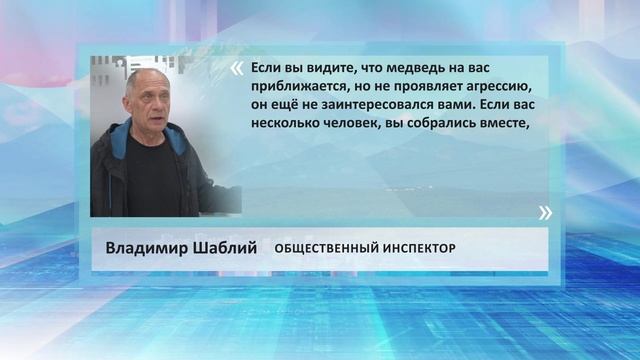 •ЦИТАТА: ВЛАДИМИР ШАБЛИЙ - КАК ПРАВИЛЬНО СЕБЯ ВЕСТИ ПРИ ВСТРЕЧЕ С МЕДВЕДЕМ•