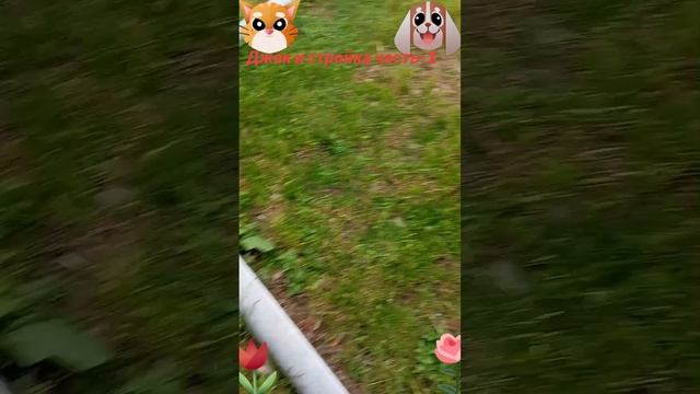 Джек и стройка  часть-1