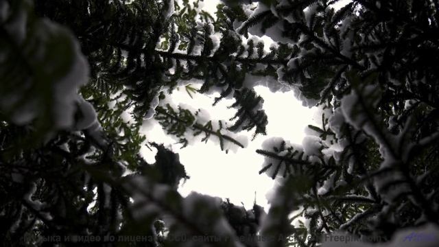 Этот трек станет вашим любимым под фоны - Innards -- Ketsa -- Light Rising