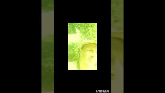 УДАЛЯТЬ. PROPHET.  SHCHERBAKOV. ЩЕРБАКОВ АРТЕМ.