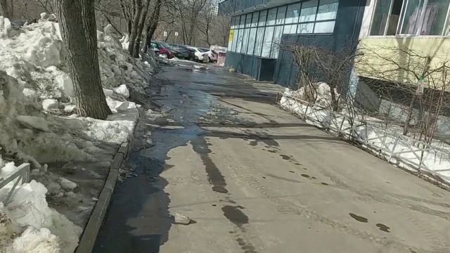Газоны используют для повышения пропускной способности улично - дорожной сети и хозяйственных целей