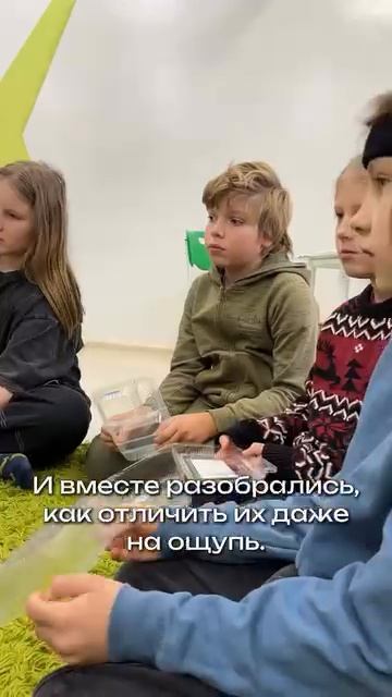 Экошажочки - часть 2