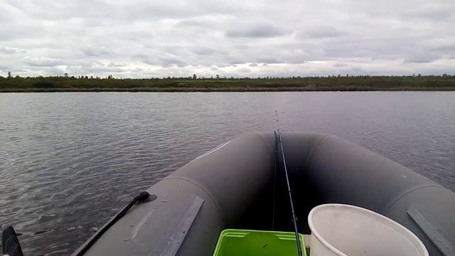 Первая щука , сезон открыт .