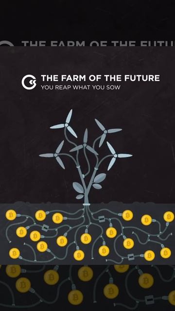 Token backed by real assets, with the daily income payment in Bitcoin (BTC) to its owner