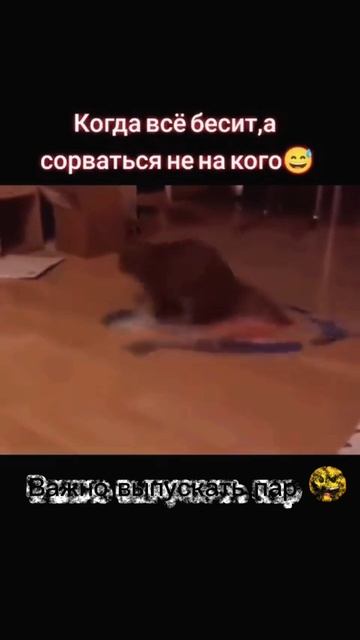 ....😀....,