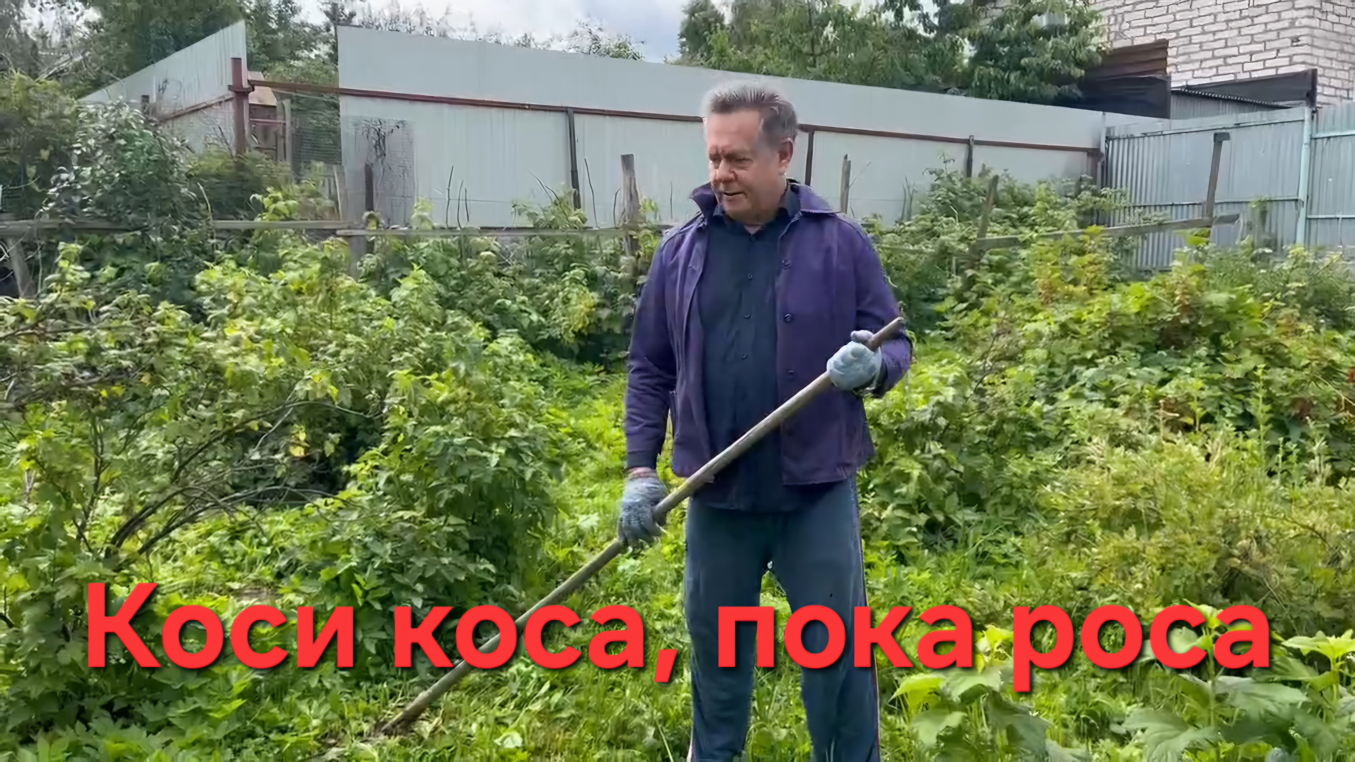 СЛАВА ТРУДУ! НИКОЛАЙ НИКОЛАЕВИЧ ПЛАТОШКИН НА ДАЧЕ