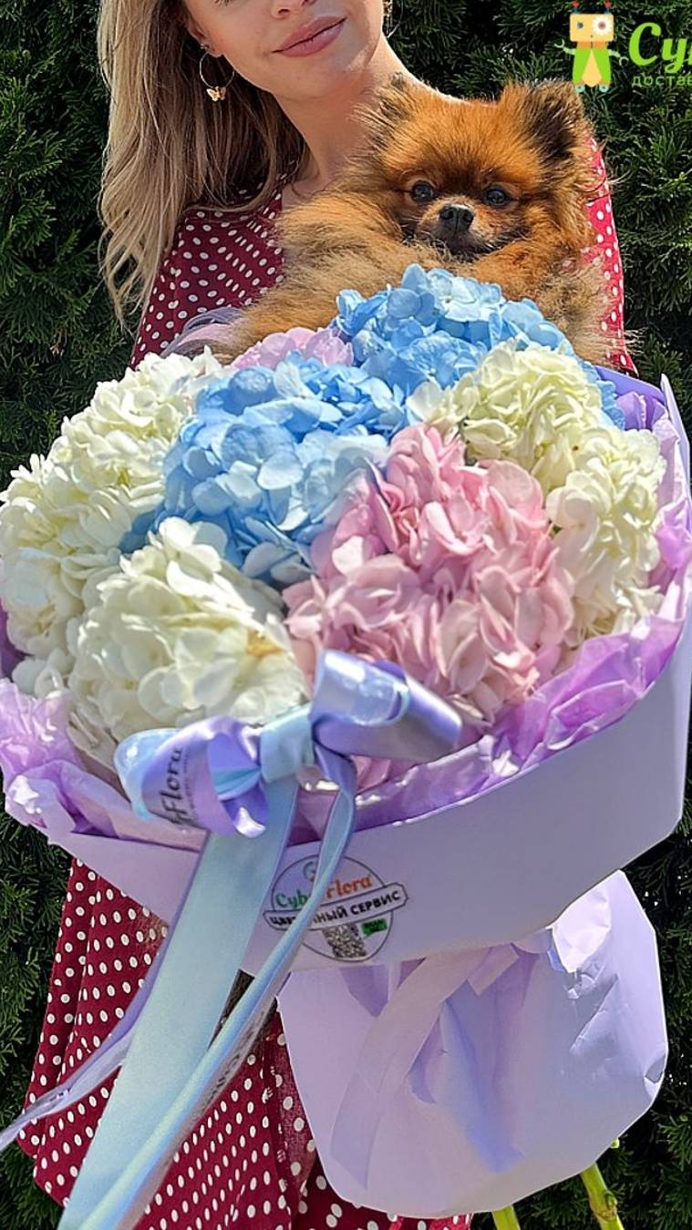 Доставка цветов| Цветы с доставкой|Cyber Flora® | Кибер Флора®  - Милая собачка Борзик и гортензии