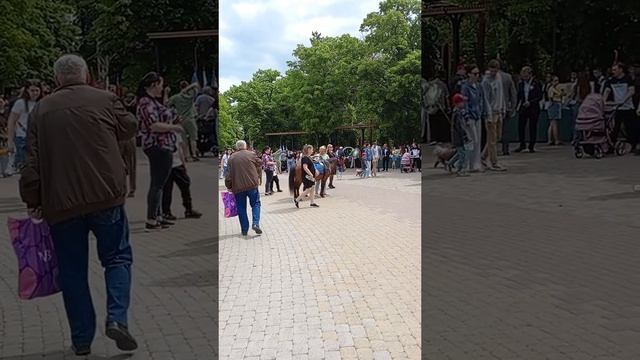 1000168076.mp4
