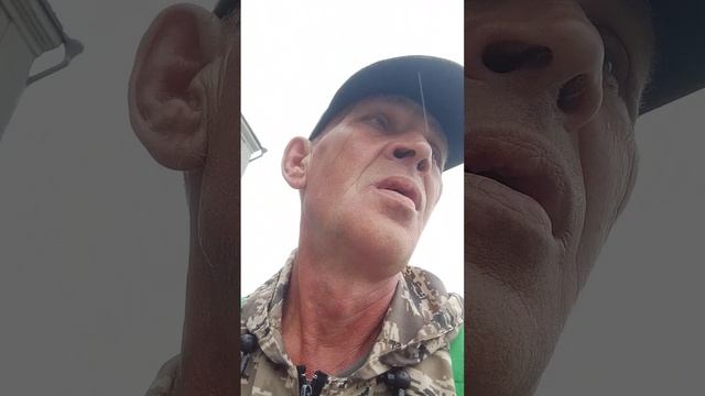 я прошу помощи.