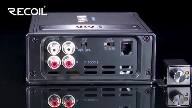 DII1000.1