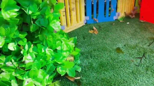 Влад и Ники. Прятки в одном цвете с Крисом и друзьями! Видео для детей.
