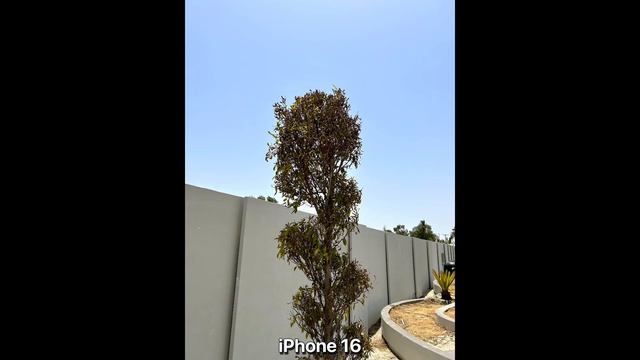 POCO F7 5G Vs iPhone 16 - сравнение камер в реальной жизни