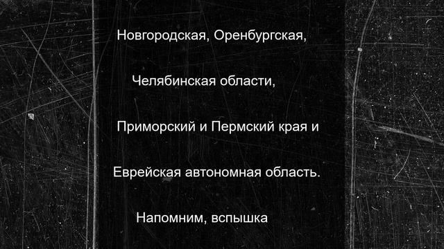 Жители Саратовской области рискуют заразиться мышиной лихорадкой