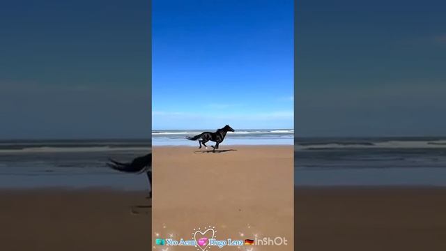 VID-20250622-WA0060.mp4
