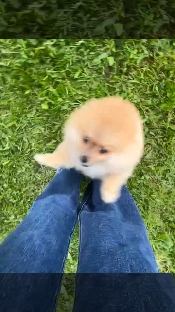 1000020425.mp4