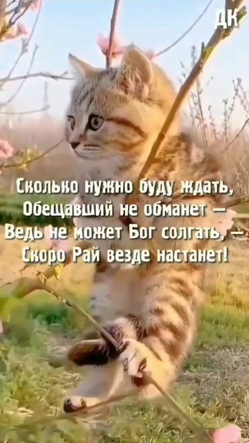 VID_20250623_144153_872.mp4