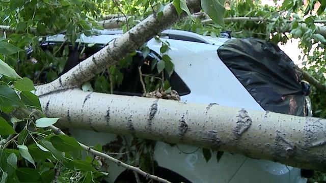 ПОСЛЕДСТВИЯ НЕПОГОДЫ