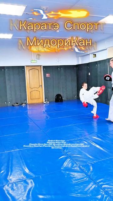 Karate Sport вертушка Tobi Mawashi Ushiro Geri