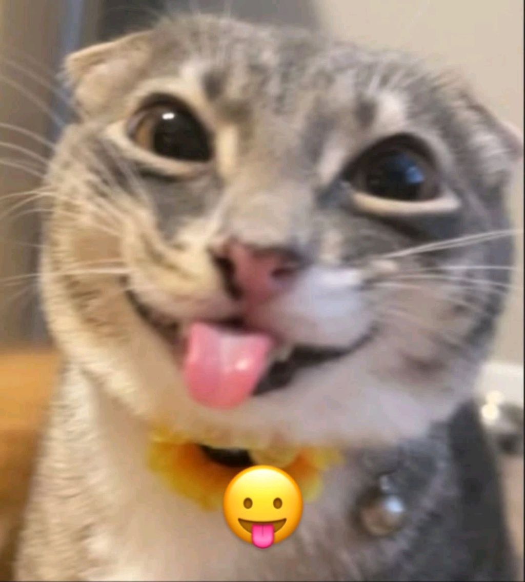 638