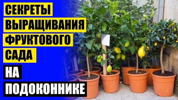 Из каких косточек можно вырастить растение дома ❕