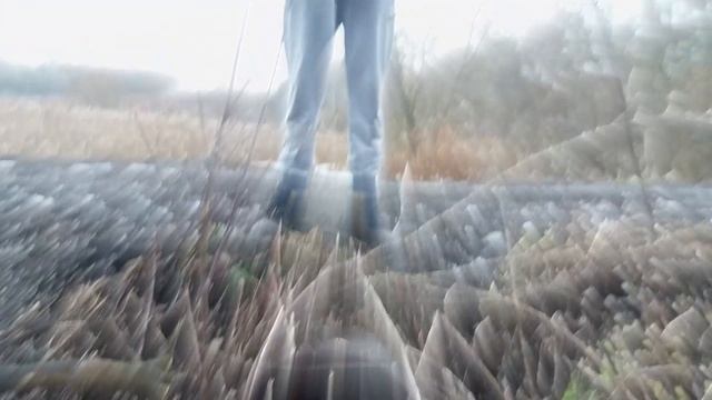 Поучающая Реклама
