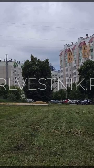 Орловцы заметили аиста на Новой Ботанике