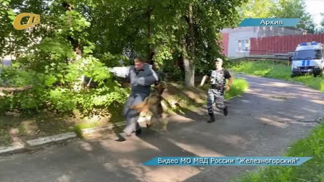 21 ИЮНЯ - ДЕНЬ КИНОЛОГИЧЕСКИХ ПОДРАЗДЕЛЕНИЙ МВД РФ