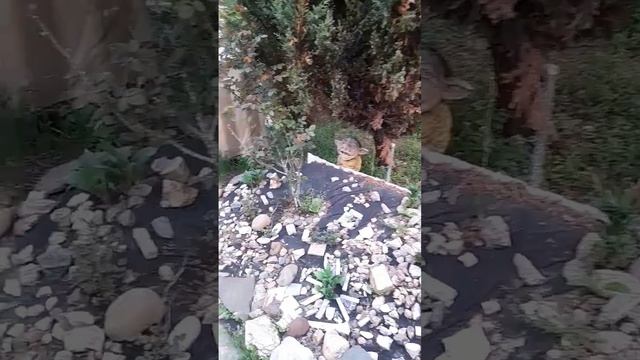 Утро доброе)