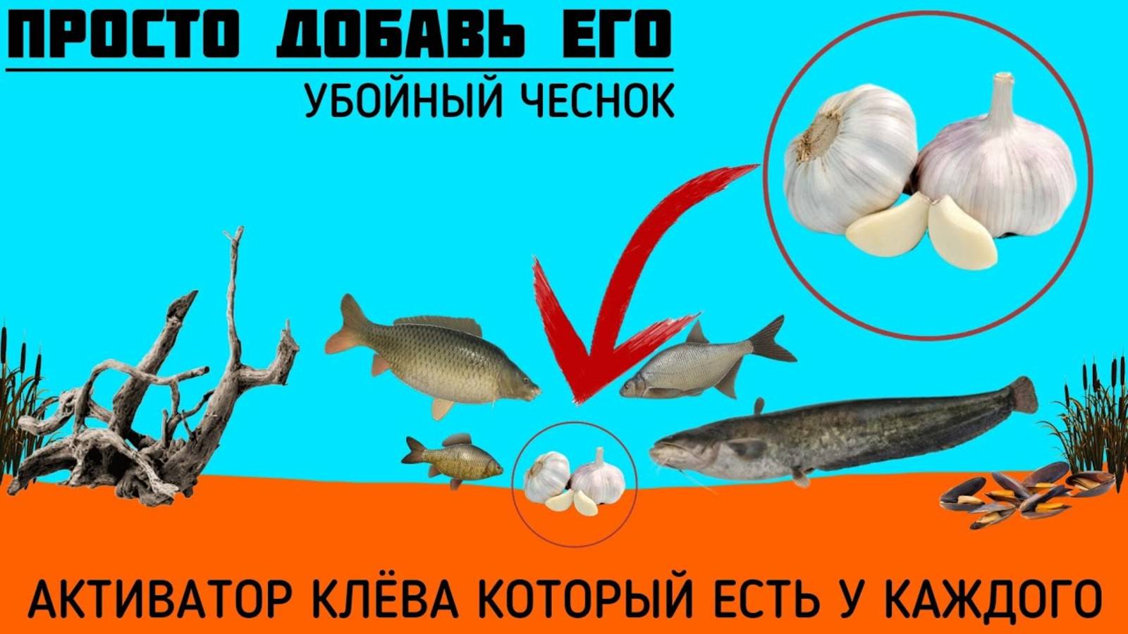 УБОЙНЫЙ АКТИВАТОР КЛЁВА ЕСТЬ У КАЖДОГО ДОМА! Чеснок! Какую рыбу им приманить Есть ответ!