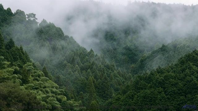 Ваша душа взлетит под эту музыку и эти виды - Kesh Ident 2 (fantastical electronica) -- Keshco -- Fi