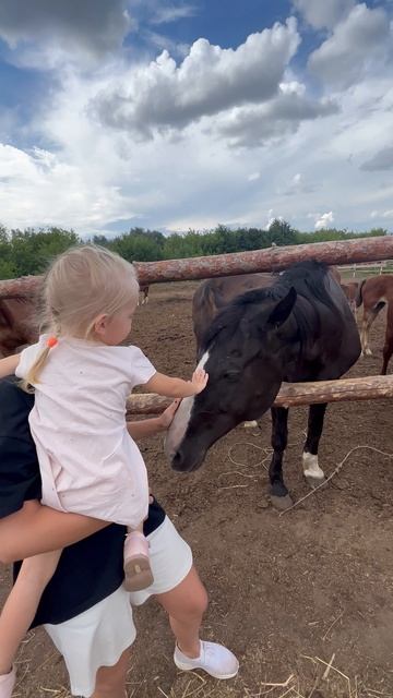 Алиса и лошадки🐴