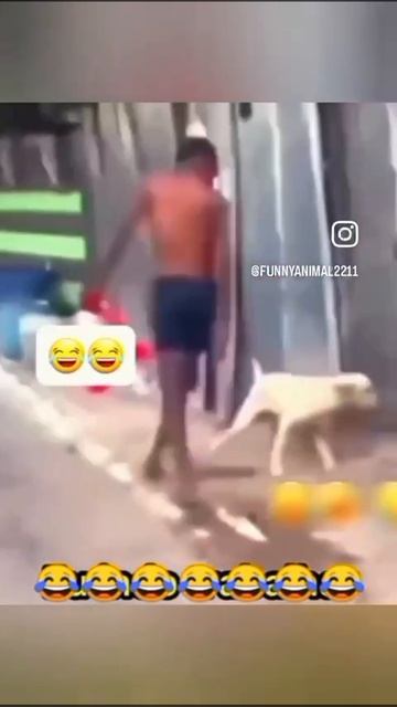 🤣🤣
