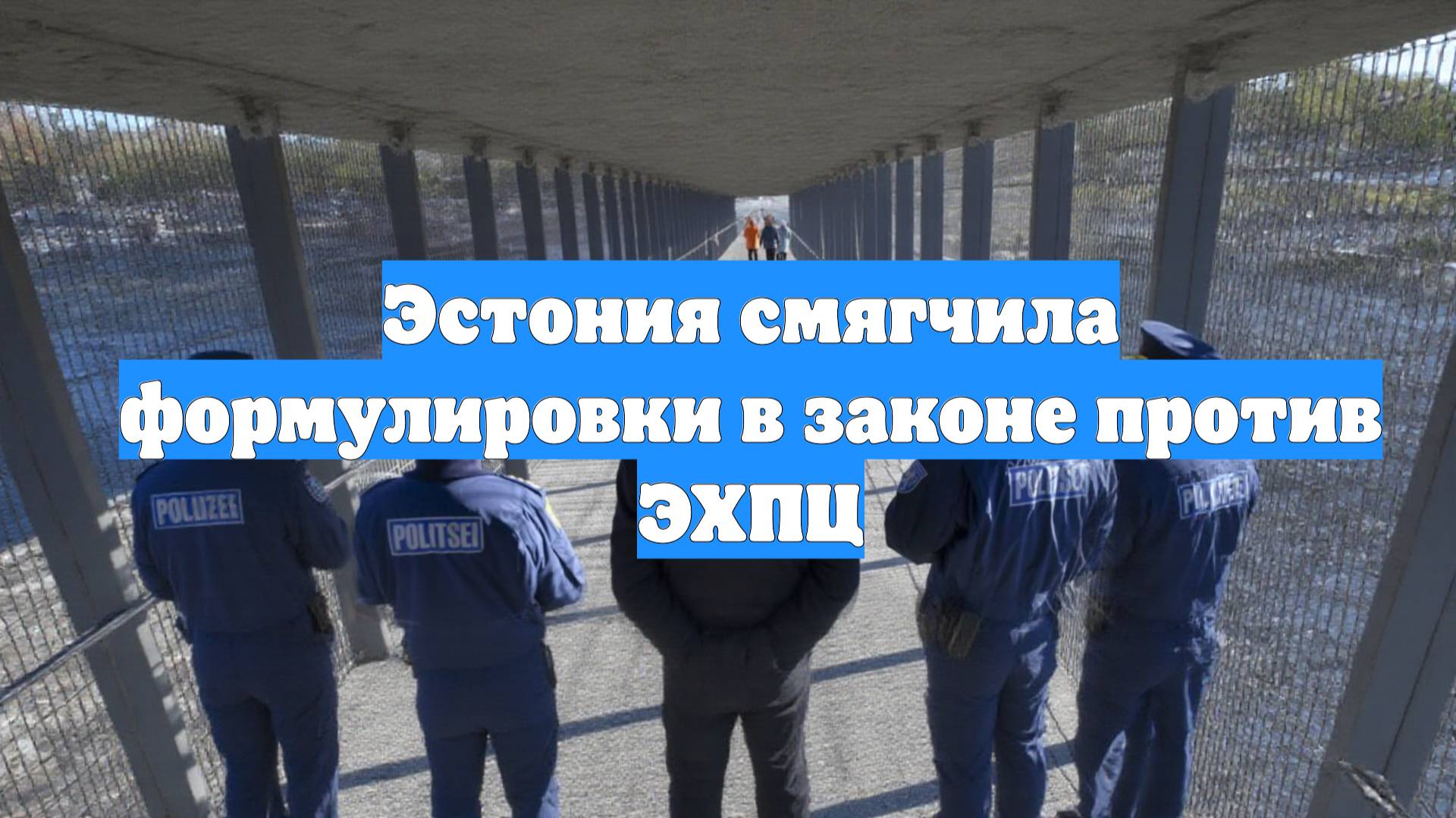 Эстония смягчила формулировки в законе против ЭХПЦ