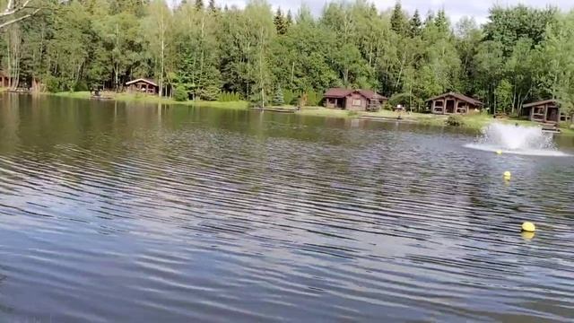 video_2025-06-23_17-54-53