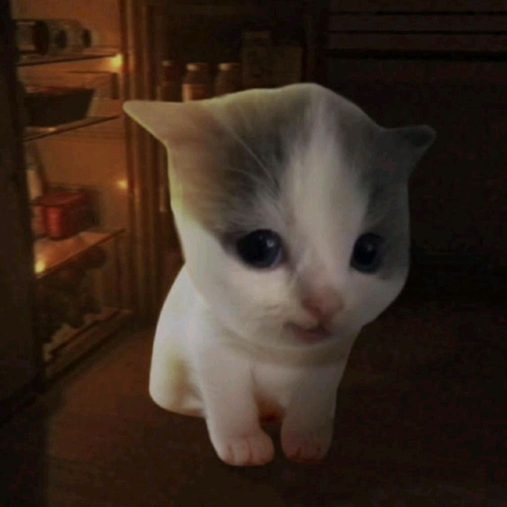 шпилим