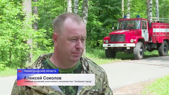 С началом пожароопасного сезона специальные мобильные группы выезжают на патрулирование лесов