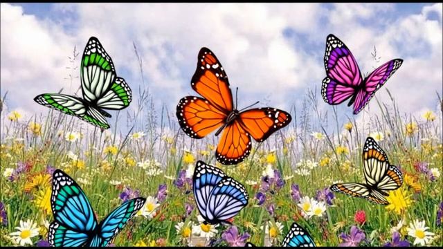 Своё предназначение (мультфильм)