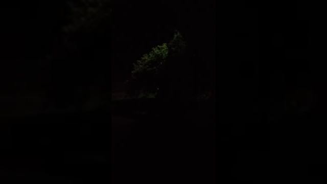 23:50 травят