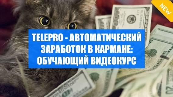 🎲 ИНТЕРНЕТ ЗАРАБОТОК В КАЗАХСТАНЕ 🎯 САЙТЫ С ЗАРАБОТКОМ ДЕНЕГ С ВЫВОДОМ 🔴