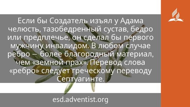 24 июня 2025. Любовь все покрывает. Под сенью благодати _ Адвентисты