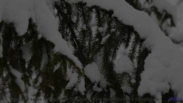 Этот клип - как луч солнца в пасмурный день! - A Prayer -- Kirk Osamayo -- Season Two (YELLOW)