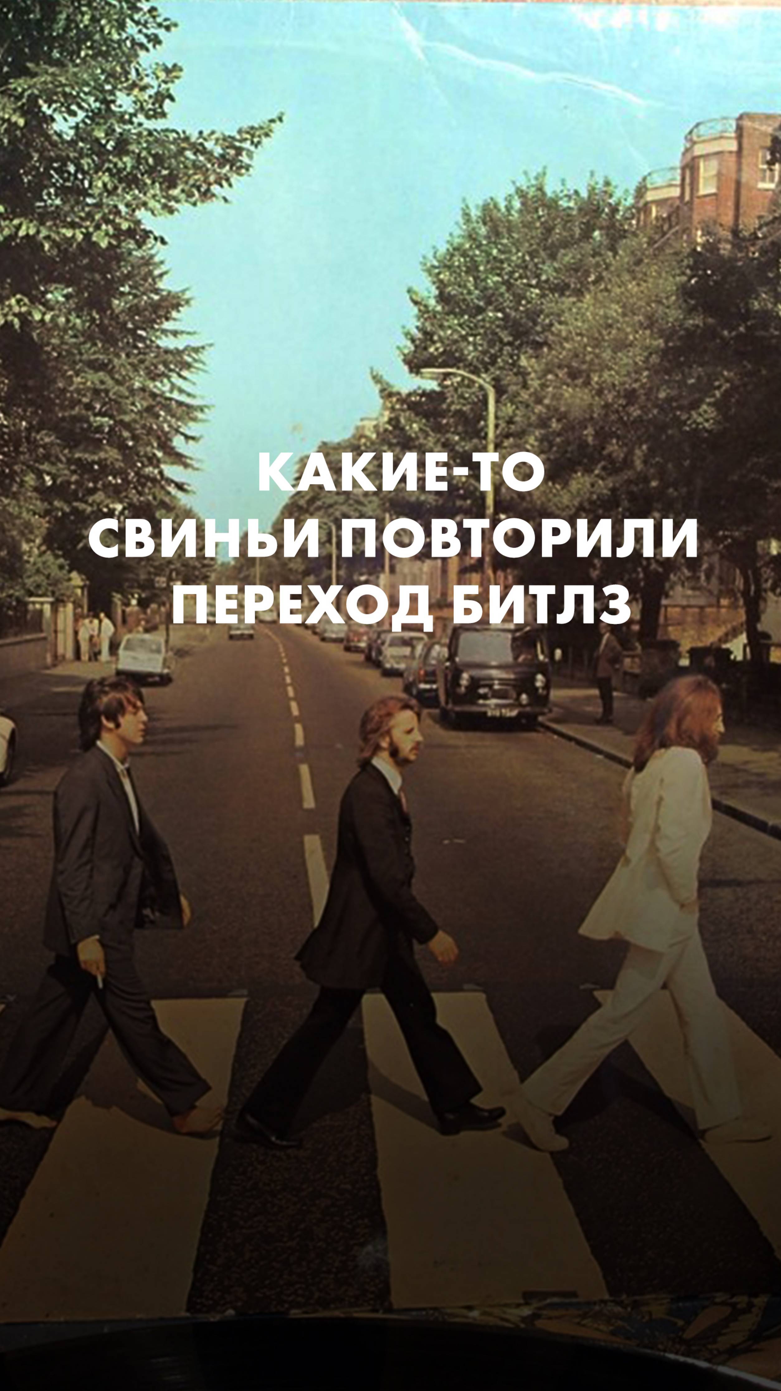 Какие-то свиньи в Ревде повторили переход Битлз по Эбби-роуд