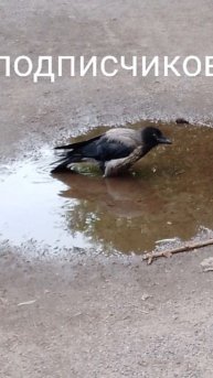 хихих😆я голодная