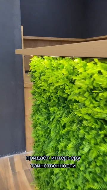 ▪️Барная стойка 🌿