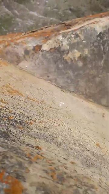 1000662179.mp4