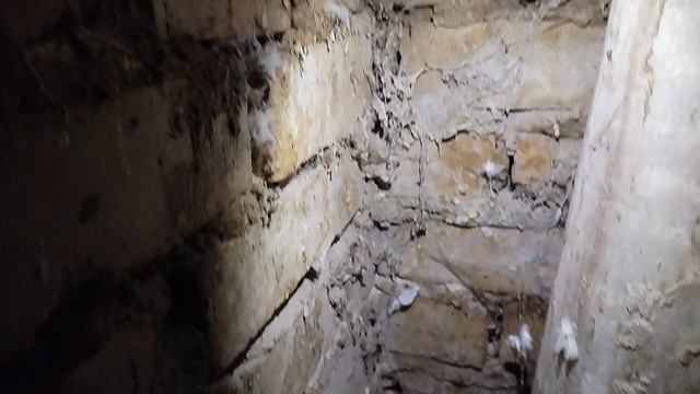 VID_20250622_Социум строй
