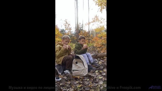Музыка ведёт туда, где сердце отдыхает - A Play on Words -- Les Hayden -- Home